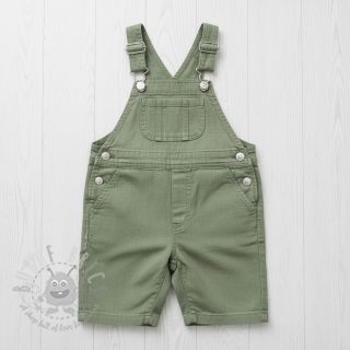 Len enzymatycznie prany old green