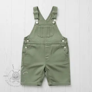Len enzymatycznie prany old green