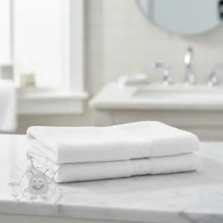 Frotte SPA blanc