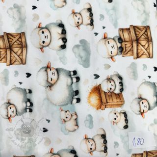 Pakiet Jersey digital print 2195