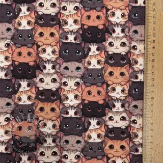 Jersey Cats digital print