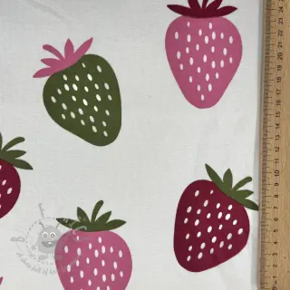Dresówka drapana JOGGING Strawberries ecru