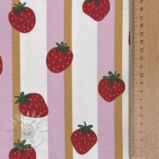 Jersey Fruits Strawberry white