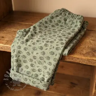 Sztruks STRETCH Little hedgehog old green
