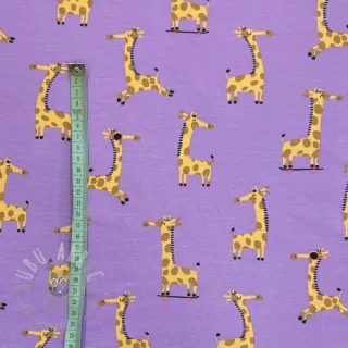 Jersey Giraffes lavender