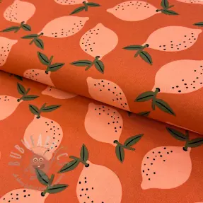 Tkanina dekoracyjna Fruits design F