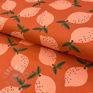 Tkanina dekoracyjna Fruits design F