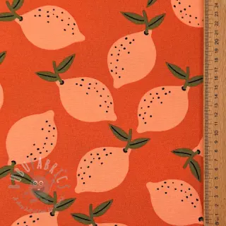 Tkanina dekoracyjna Fruits design F