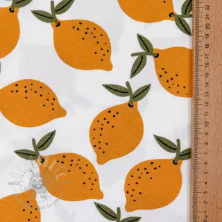 Tkanina dekoracyjna Fruits design E