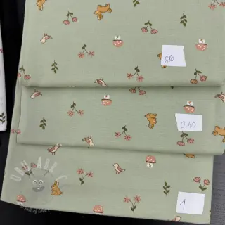 Ostatnie sztuki pakiet dżersej design ORGANIC 224