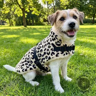 Tkanina płaszczowa TEDDY JACQUARD Animal skin black