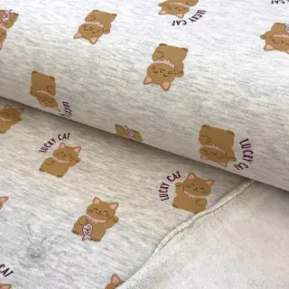 Dresówka drapana Lucky cat off white melange