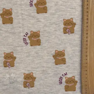 Dresówka drapana Lucky cat off white melange