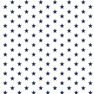 Bavlnená látka Petit stars white/navy