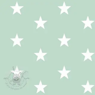 Bawełniana tkanina Stars mint