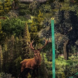 Tkanina dekoracyjna Ancient forest nadruk cyfrowy