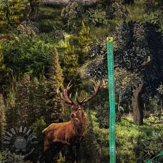 Tkanina dekoracyjna Ancient forest nadruk cyfrowy