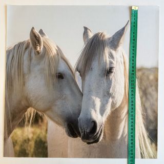 Skaj KARIA Horse love PANEL