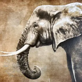 Sztuczna skóra KARIA Elephant PANEL