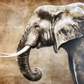 Umelá koža KARIA Elephant PANEL