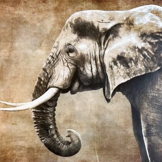 Skaj KARIA Elephant PANEL