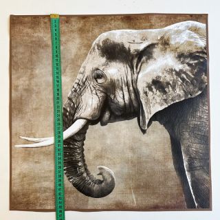 Skaj KARIA Elephant PANEL