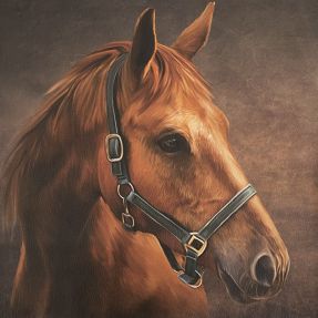 Skóra sztuczna KARIA My horse PANEL