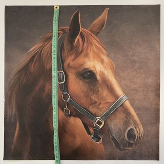 Skóra sztuczna KARIA My horse PANEL