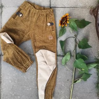 Sztruks olive