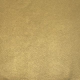 Skaj KARIA gold