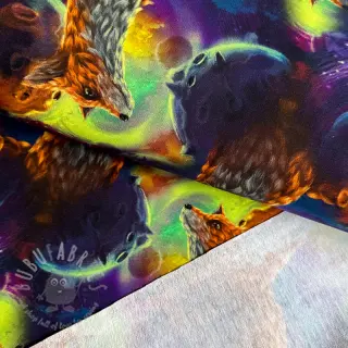 Dresówka Fantasy planets digital print