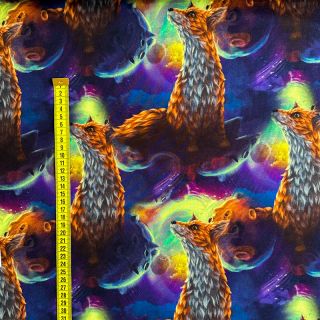 Dzianina dresowa Fantasy planets digital print