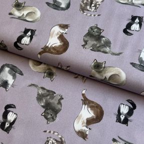 Tkanina bawełniana Cats lavender digital print