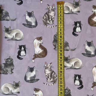 Tkanina bawełniana Cats lavender digital print