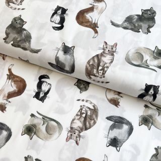 Tkanina bawełniana Cats white digital print