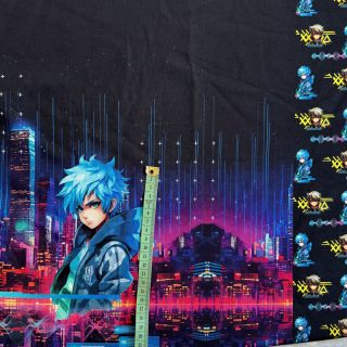 Dresówka Tokyo Play PANEL digital print