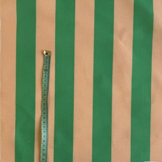 Tkanina dekoracyjna premium Joyful Basic Stripe green digital print