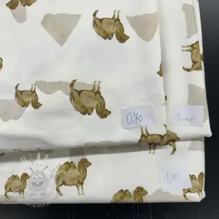 Pakiet końcówek Jersey cyfrowy nadruk 1997