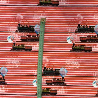 Dzianina Sky Train in line digital print