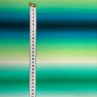 Dzianina Music is my world stripe digital print