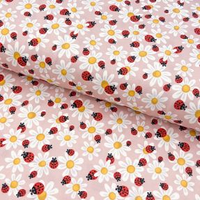 Dzianina Baby Ladybug rose digital print
