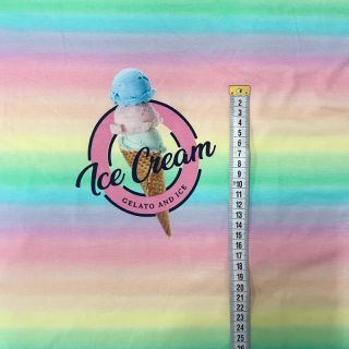 Dzianina My Favorite Icecream PANEL digital print