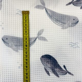 Bawełna waffle Whales digital print