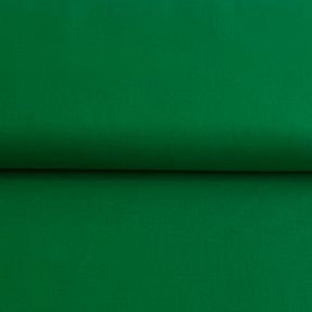 Tkanina płótno CANVAS green