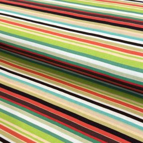 Úplet Great big farm green stripe digital print
