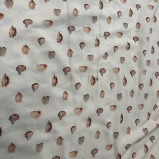Dzianina Baby Seashells digital print II klasa