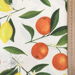 Tkanina dekoracyjna teflon Citrus Fruit