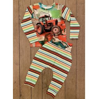Dzianina Great big farm green stripe digital print