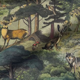 Tkanina dekoracyjna Forest Heritage Art digital print