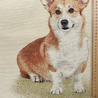 Tkanina dekoracyjna GOBELIN PREMIUM Sitting Corgi Dog PANEL